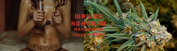 ПСИЛОЦИБИНОВЫЕ ГРИБЫ Алексеевка