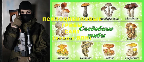 спайс Алексин