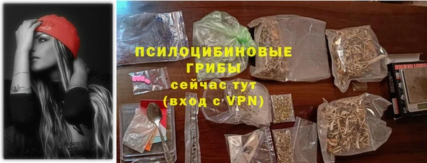ПСИЛОЦИБИНОВЫЕ ГРИБЫ Алексеевка