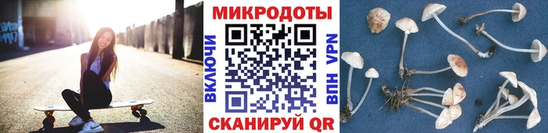 Галлюциногенные грибы ЛСД  купить закладку  Новоаннинский 